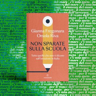 Non Sparate sulla Scuola': un viaggio critico nell'istruzione Italiana
