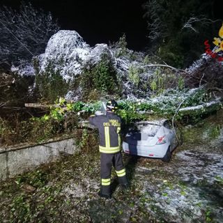 Maltempo sulla provincia di Novara: vigili del Fuoco intervengono per alberi caduti