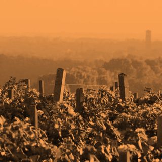Il territorio del vino: un viaggio nell’Alto Piemonte