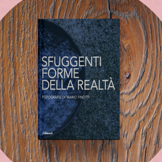 “Sfuggenti forme della realtà”: Marco Finotti presenta Allemandi al Castello di Novara