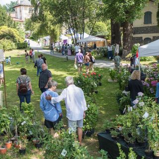 Menta e Rosmarino: a Miasino torna la kermesse tra botanica, arte e design nel weekend
