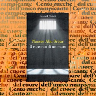 Il racconto di un muro: una voce dalla Palestina a Novara