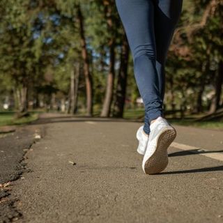 Prima edizione della &quot;Camminata del Laureato&quot; a Novara