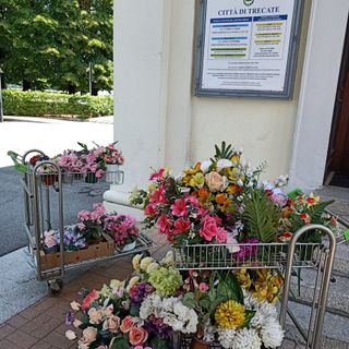 Numerose donazioni per l'iniziativa “Porta un fiore a chi non ce l’ha”
