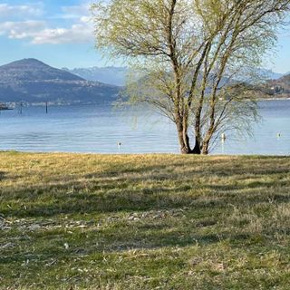 “Cinema sotto le Stelle”, ad Arona si parte con Whiplash