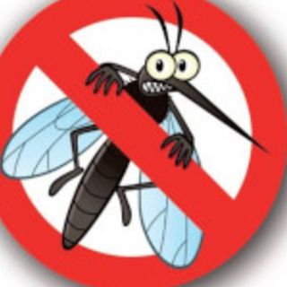 Anche a Trecate entra nel vivo la lotta alle zanzare