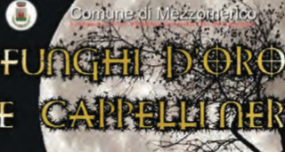 &quot;Funghi d'Oro e Cappelli Neri&quot;: alla scoperta dell'antica leggenda custodita nei boschi a Mezzomerico