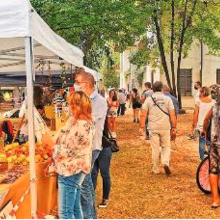 Si rinnova per la terza volta l’ormai consueto appuntamento con il Parco del Gusto a Borgomanero