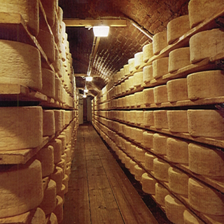 Produzione gorgonzola dop 2022: superati i 5 milioni di forme, ma il trend e’ negativo dopo dieci anni
