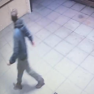 Tratto in arresto il presunto autore di numerosi furti nelle scuole