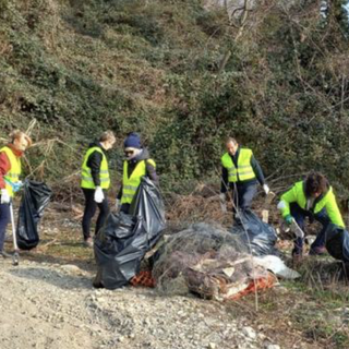 Domani a Varallo a la &quot;Giornata per l'Ambiente&quot;, pulizia dei boschi del territorio