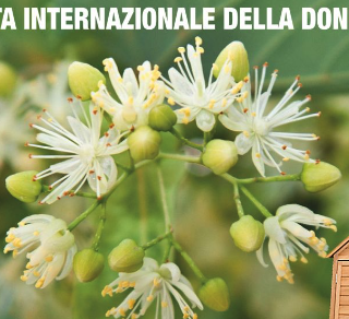 Si celebra l'8 marzo ogni giorno