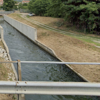 Grignasco: basta animali morti nel canale, quasi 300 firme per la petizione online 