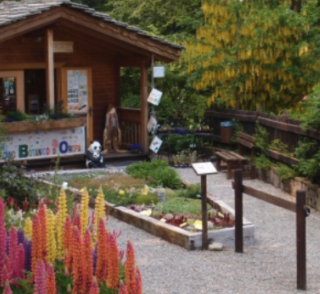 &quot;Orti Botanici, eccellenze Italiane&quot;: alla scoperta di un patrimonio naturalistico