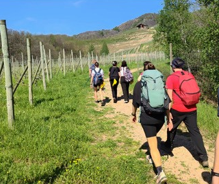 Un viaggio tra natura e tradizione: il cammino delle colline novaresi