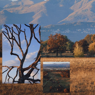 La Baraggia di Candelo in foto e una passeggiata notturna col Pelobate