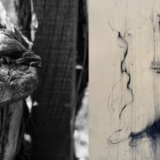 “Pareidolia” a Villa Picchetta: arte e natura in mostra tra volti e forme immaginate