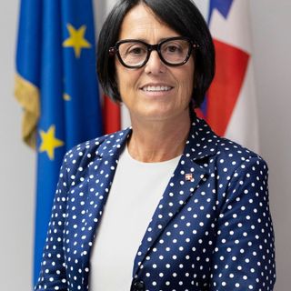 West Nile, Raiteri (FdI): "La lotta alle zanzare è prevenzione sanitaria"