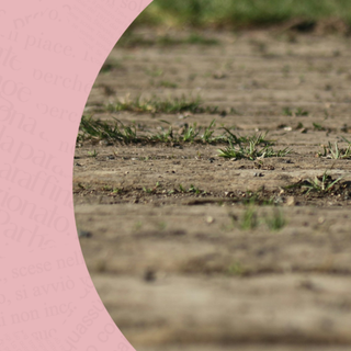 “Terra. I quattro elementi”: a Novara uno spettacolo sul confine tra Usa e Messico