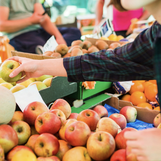 Ortofrutta, la Regione approva 11 progetti delle associazioni di produttori piemontesi