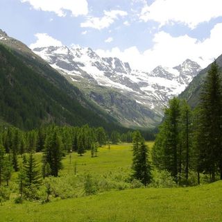 Climbing for Climate, gli atenei piemontesi uniti per sensibilizzare sui cambiamenti climatici