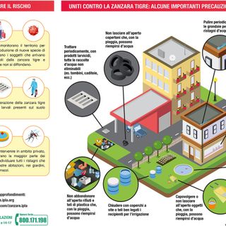 È partita la lotta alle zanzare del Comune di Trecate