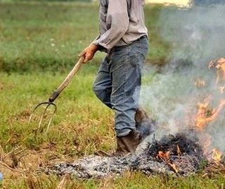 Abbruciamenti residui vegetali: introdotta la possibilità di deroga nel periodo di divieto