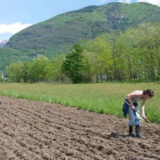 Dalla Regione in arrivo 12,7 milioni di euro per le aziende agricole