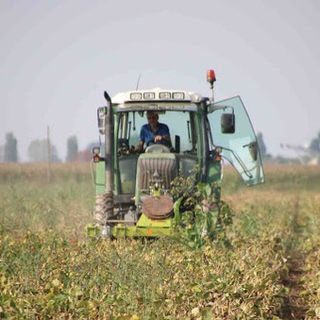Aperte le iscrizioni ai corsi serali dell’Istituto Agrario Bonfantini