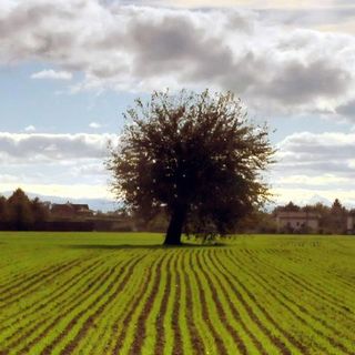 Dalla Regione Piemonte nove milioni per le aziende agricole: nuovi agriturismi e attività sostenibili