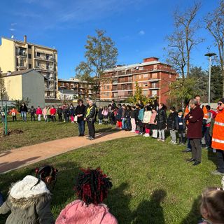 Novara ha celebrato la Festa dell’Albero