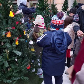 L’amministrazione trecatese ringrazia i bambini per le docrazioni natalizie