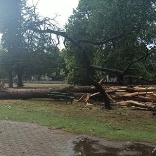 Riapriranno domani gli asili di Trecate
