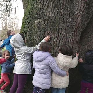 Dodici appuntamenti dedicati alla sostenibilità ambientale promossi dal Circolo Il Pioppo