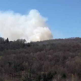 Vasto incendio ieri sul Mottarone