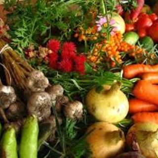 Coronavirus, Coldiretti: &quot;Sostegno agli indigenti con i prodotti alimentari Made in Piemonte”