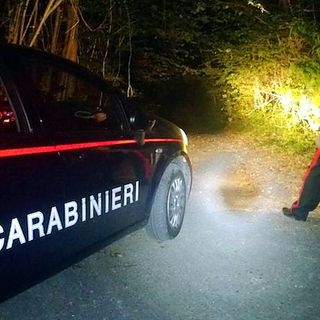 Cronaca nord-ovest: con l'auto urta un animale selvatico, serata da dimenticare per un 36enne