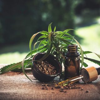 Cannabis light in Italia: il quadro normativo