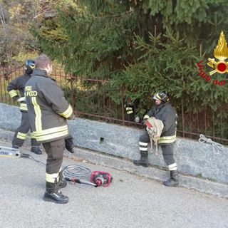 I Vigili del Fuoco salvano un capriolo incastrato in una recinzione di Nebbiuno