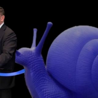 M5S: “Altro che chiocciole, giunta Canelli assomiglia a un gambero”