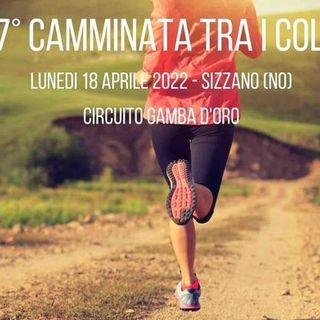A Pasquetta a Sizzano si corre tra i vigneti