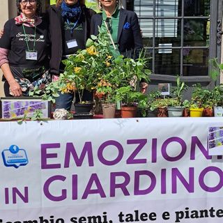 “Emozioni nel cortile delle Magnolie”: successo a Villa Cicogna