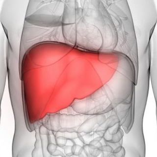 Giornata Mondiale dell’Epatite, l’Ospedale Maggiore invita allo screening gratuito