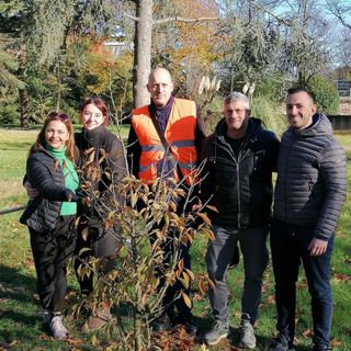 Tre nuove piante messe a dimora dall’associazione volontari per l’ambiente