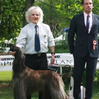 Recuperato dai sommozzatori il corpo di Enrico Faraglia