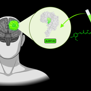 Dall’Upo nasce una tecnologia che “illumina” le cellule tumorali nel cervello