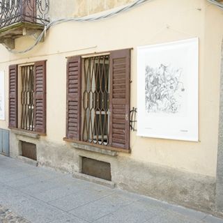 Herbarium vagans lascia l’Ossola per approdare sul Lago d’Orta
