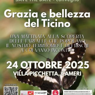 “Grazia e bellezza del Ticino”: convegno dedicato alle farfalle