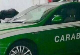 Bellinzago: vitelli maltrattati, stalla sequestrata e multa al proprietario