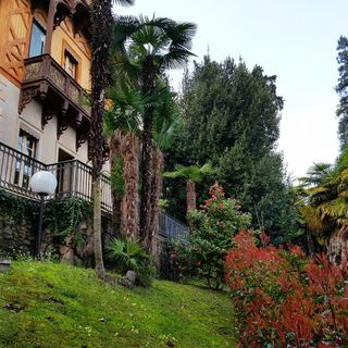 Ultime aperture per il percorso multimediale del Museo Meina  “Vox Horti: la natura in 4D” prima del nuovo allestimento